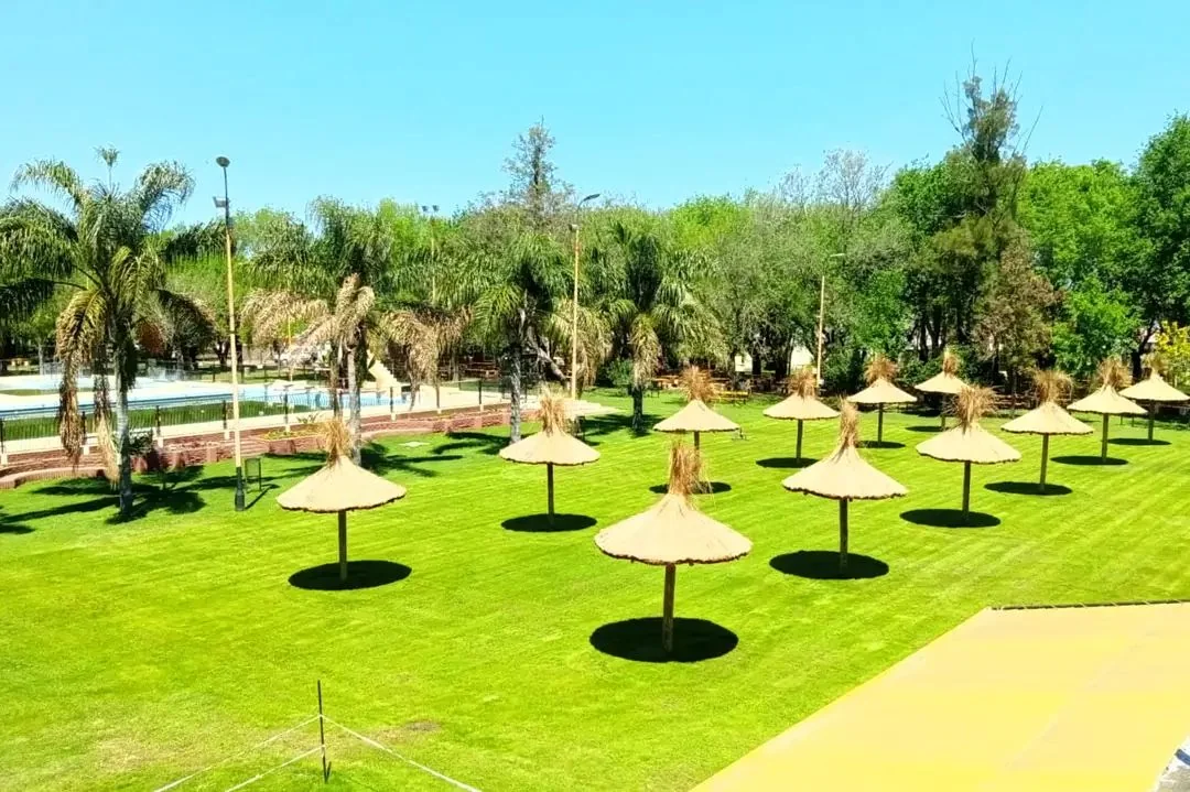 Espacios verdes y sombrillas del predio